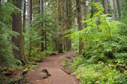 alvord hot springs|Bagby Hot Springs Trailhead